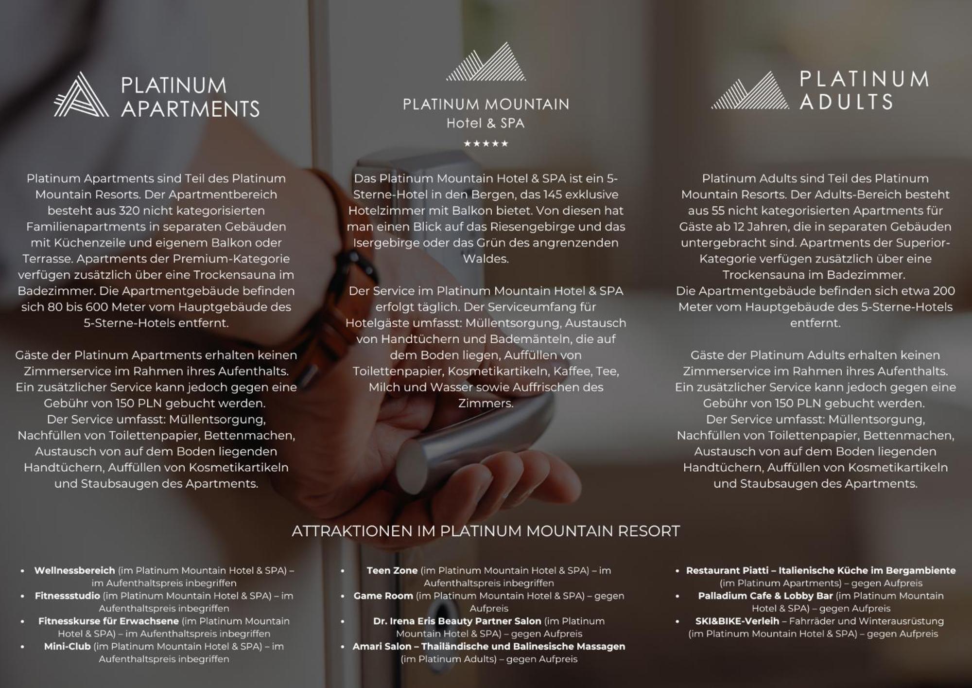 Platinum Mountain Hotel&Spa Szklarska Poręba Eksteriør bilde Brochure